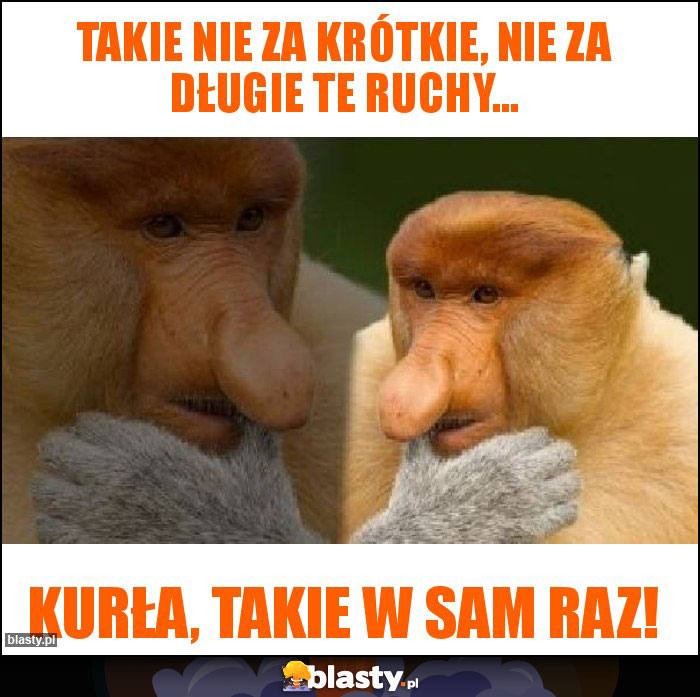 Takie nie za krótkie, nie za długie te ruchy... Takie nie za krótkie, nie za długie te ruchy...