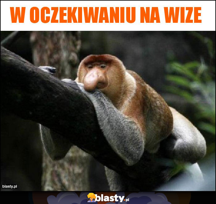 W oczekiwaniu na wize W oczekiwaniu na wize