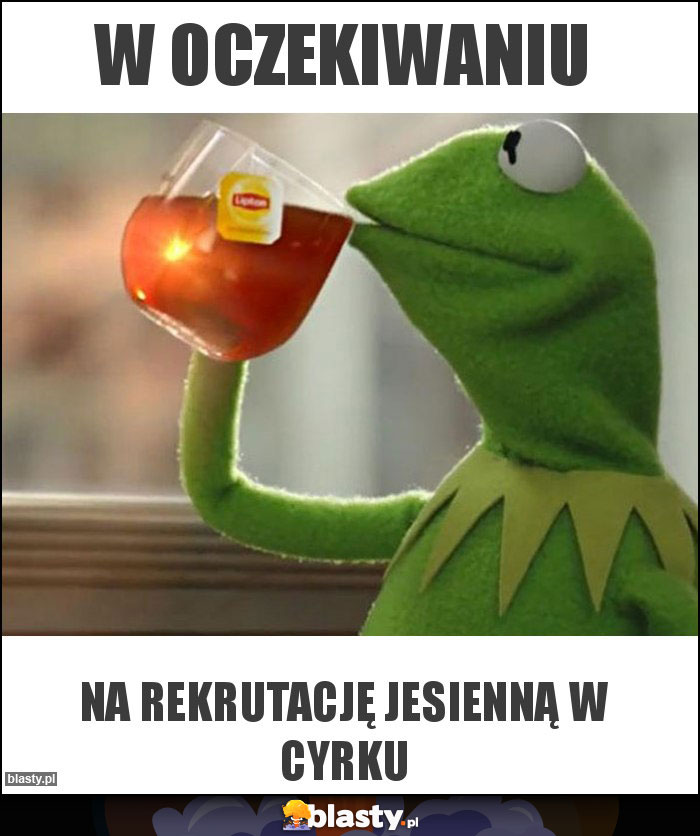 W oczekiwaniu