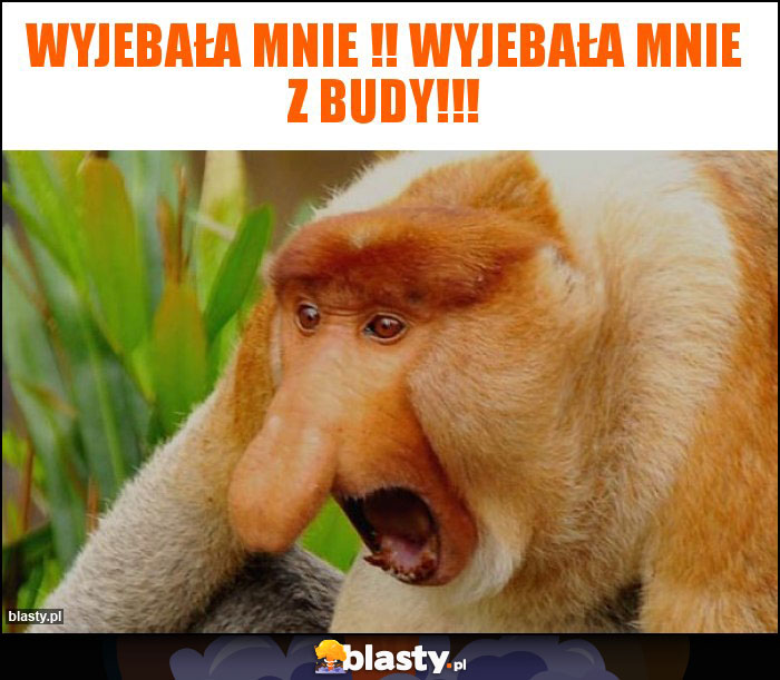 Wyjebała mnie !! Wyjebała mnie z budy!!! Wyjebała mnie !! Wyjebała mnie z budy!!!