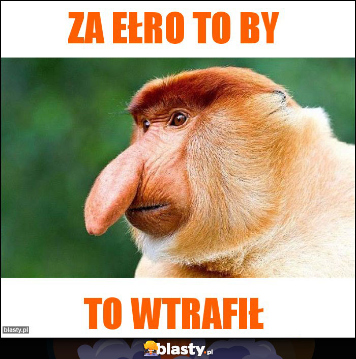 Za Ełro to by Za Ełro to by