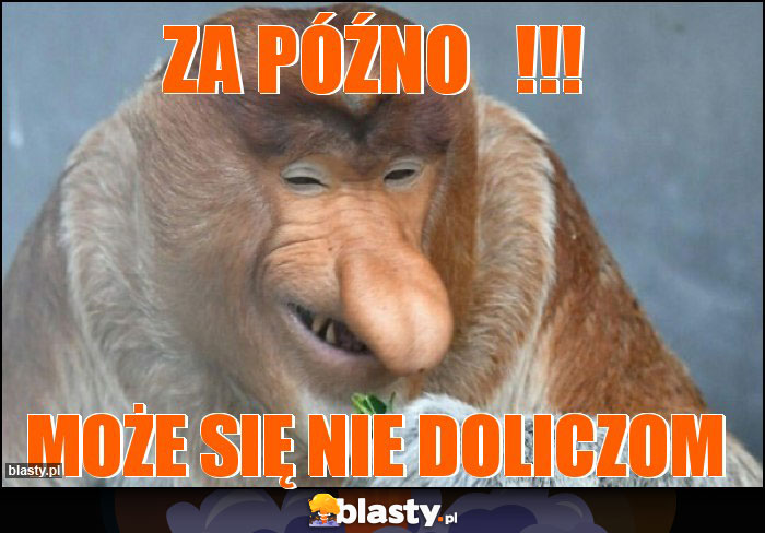 Za późno !!! Za późno !!!