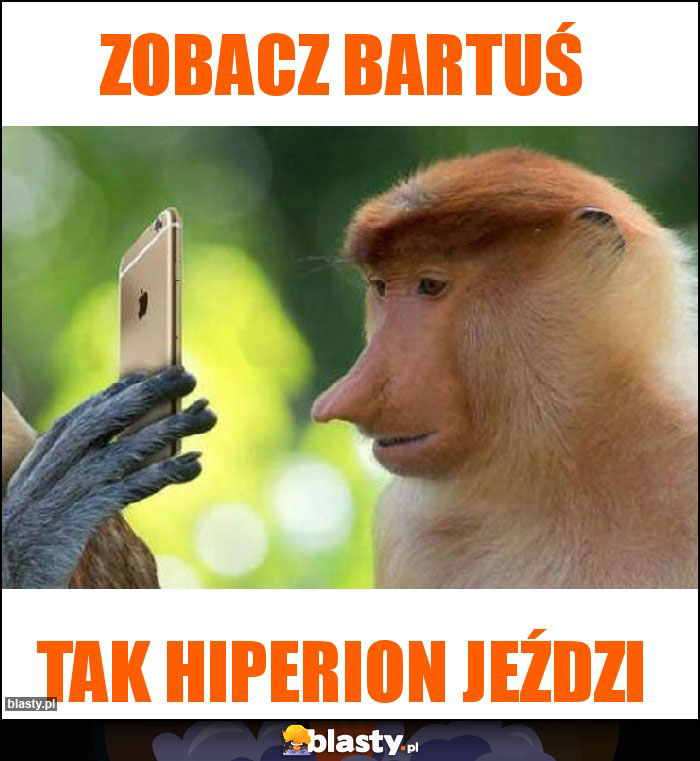 Zobacz Bartuś Zobacz Bartuś
