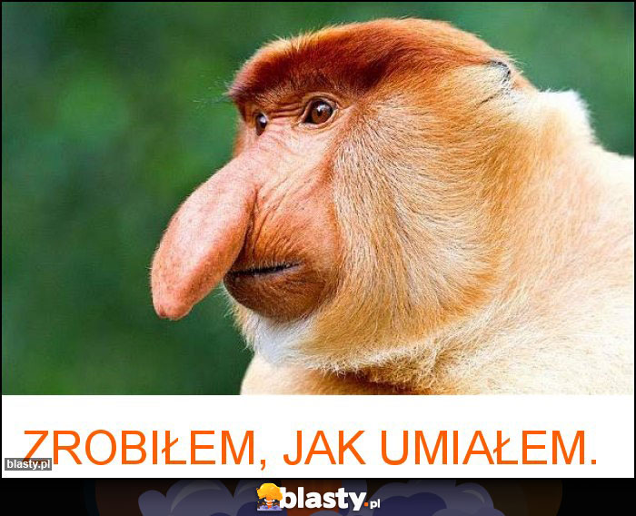 Zrobiłem, jak umiałem. Zrobiłem, jak umiałem.