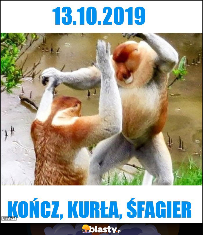 13.10.2019 13.10.2019