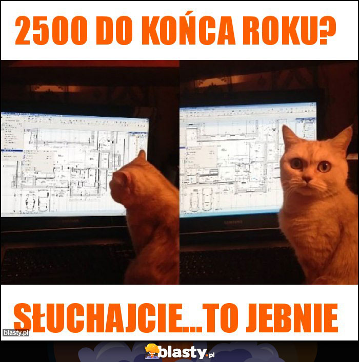 2500 do końca roku? 2500 do końca roku?
