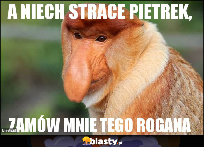 A NIECH STRACE PIETREK,