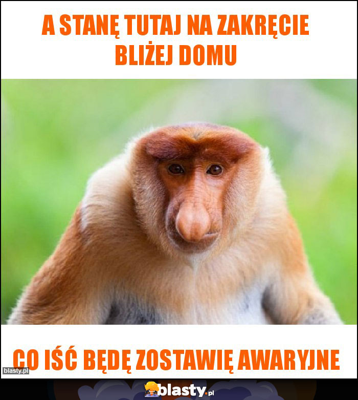 A stanę tutaj na zakręcie bliżej domu A stanę tutaj na zakręcie bliżej domu