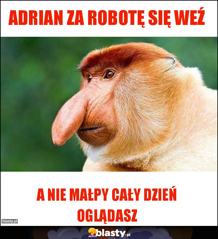 Adrian za robotę się weź Adrian za robotę się weź