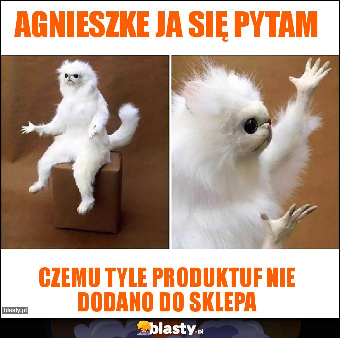 Agnieszke ja się pytam Agnieszke ja się pytam