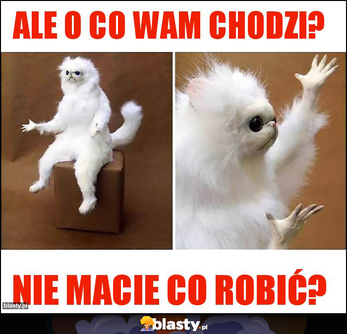 Ale o co Wam chodzi? Ale o co Wam chodzi?