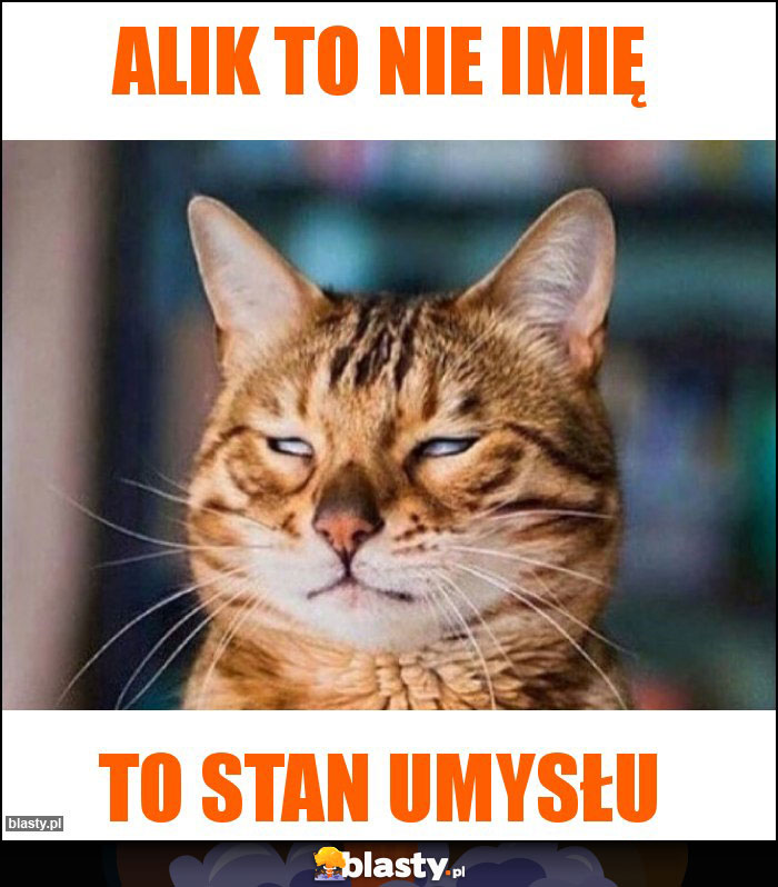 Alik to nie imię Alik to nie imię