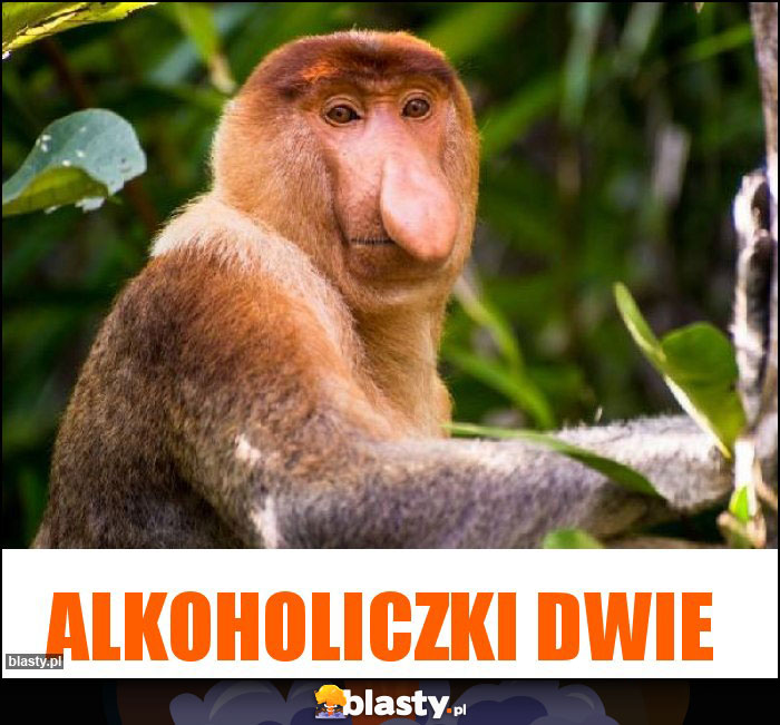 Alkoholiczki dwie Alkoholiczki dwie
