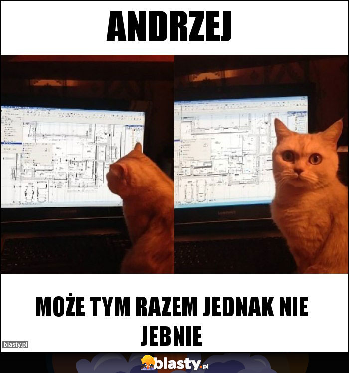 Andrzej