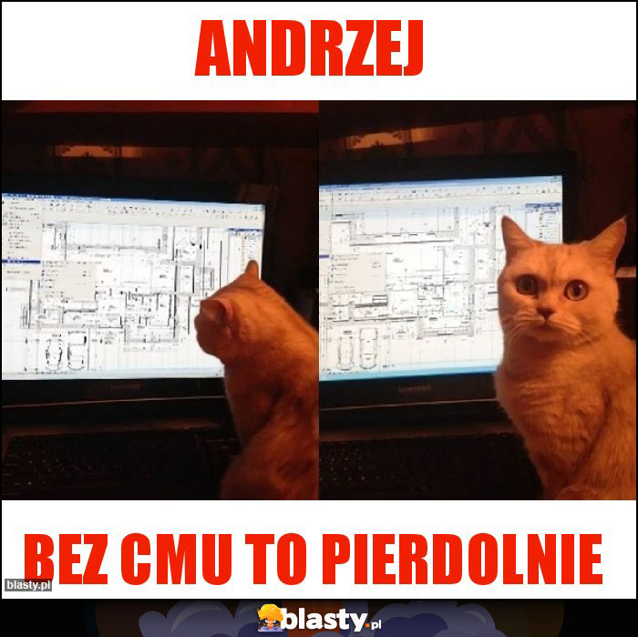 Andrzej