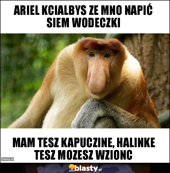 Ariel kcialbys ze mno napić siem wodeczki Ariel kcialbys ze mno napić siem wodeczki