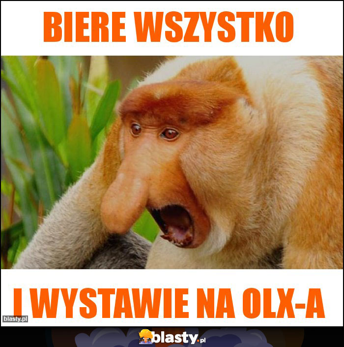 biere wszystko biere wszystko