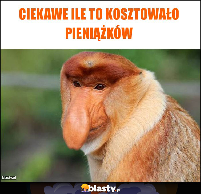 CIEKAWE ILE TO KOSZTOWAŁO PIENIĄŻKÓW CIEKAWE ILE TO KOSZTOWAŁO PIENIĄŻKÓW
