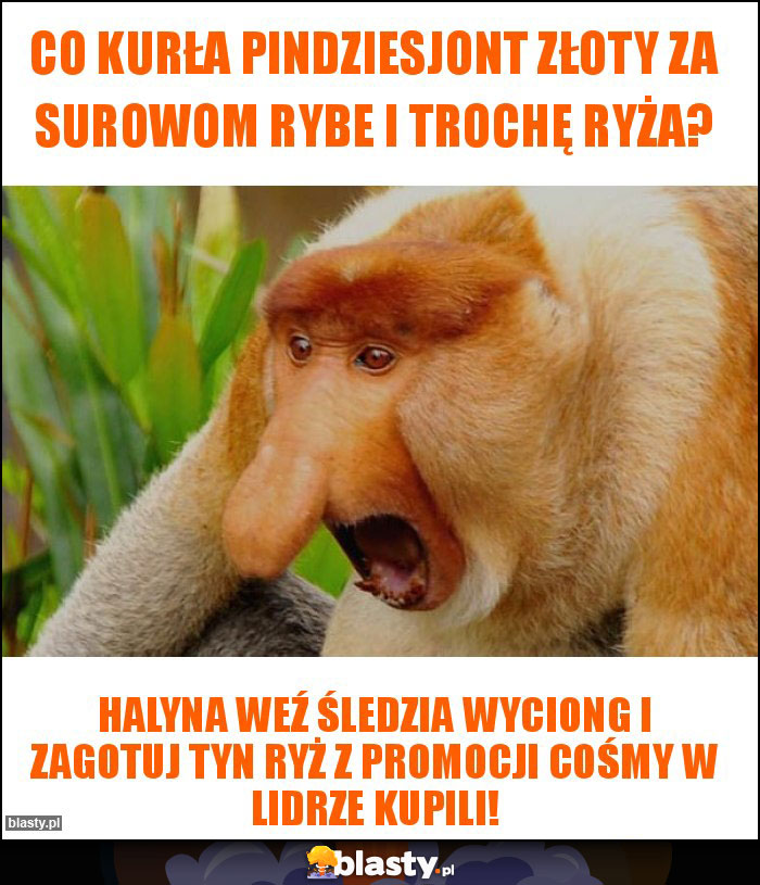Co kurła pindziesjont złoty za surowom rybe i trochę ryża? Co kurła pindziesjont złoty za surowom rybe i trochę ryża?