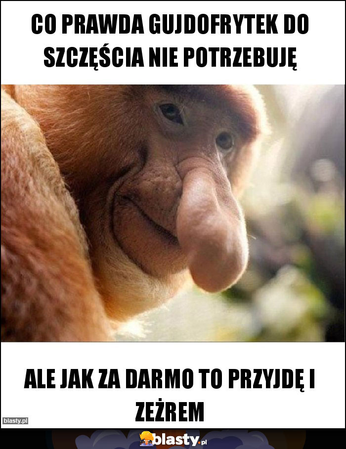 Co prawda Gujdofrytek do szczęścia nie potrzebuję Co prawda Gujdofrytek do szczęścia nie potrzebuję