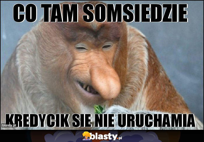 CO TAM SOMSIEDZIE CO TAM SOMSIEDZIE