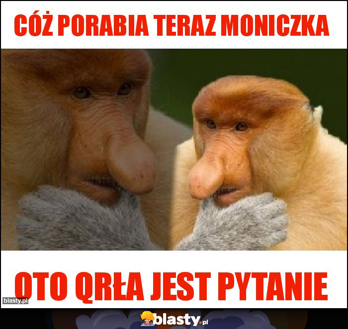 Cóż porabia teraz Moniczka Cóż porabia teraz Moniczka