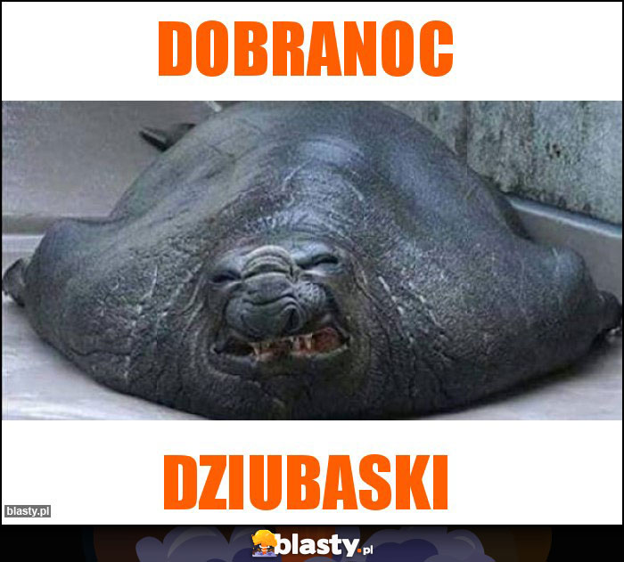 Dobranoc