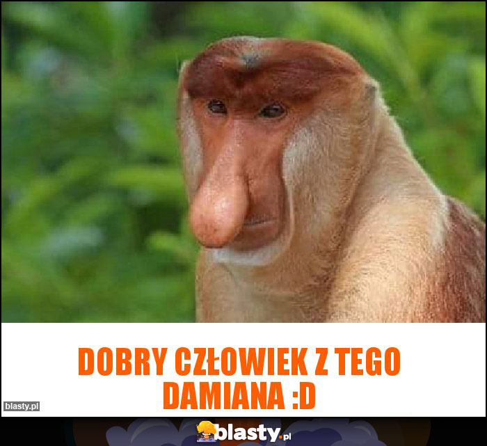 Dobry człowiek z tego Damiana :D Dobry człowiek z tego Damiana :D