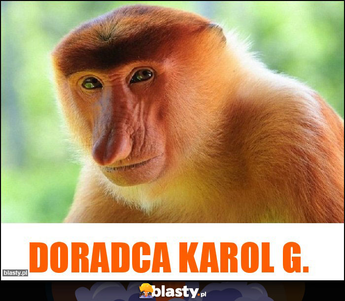 Doradca Karol G. Doradca Karol G.