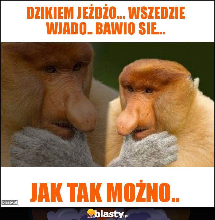 Dzikiem jeżdżo... Wszedzie wjado.. bawio sie... Dzikiem jeżdżo... Wszedzie wjado.. bawio sie...