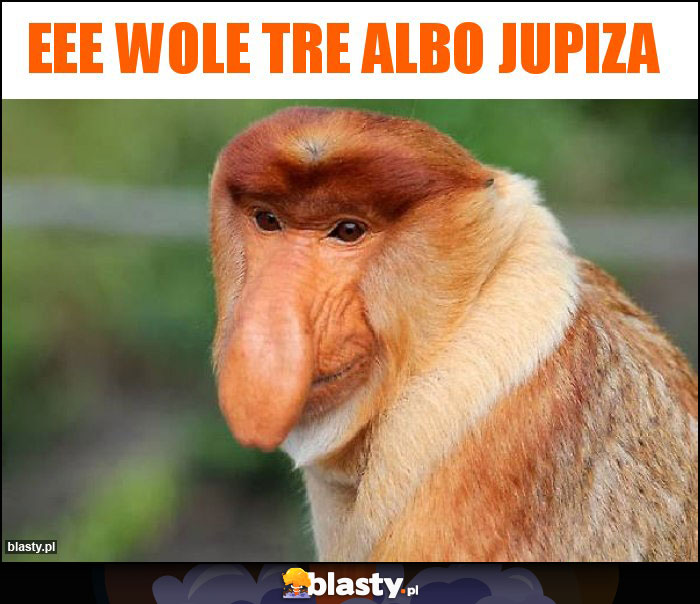 eee wole tre albo jupiza eee wole tre albo jupiza