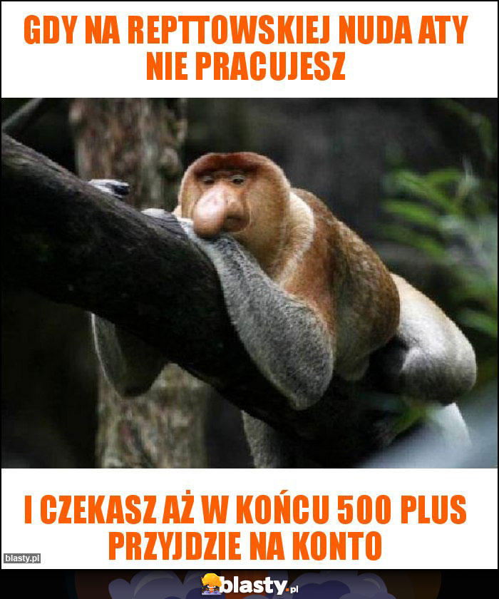 Gdy na repttowskiej nuda aty nie pracujesz Gdy na repttowskiej nuda aty nie pracujesz