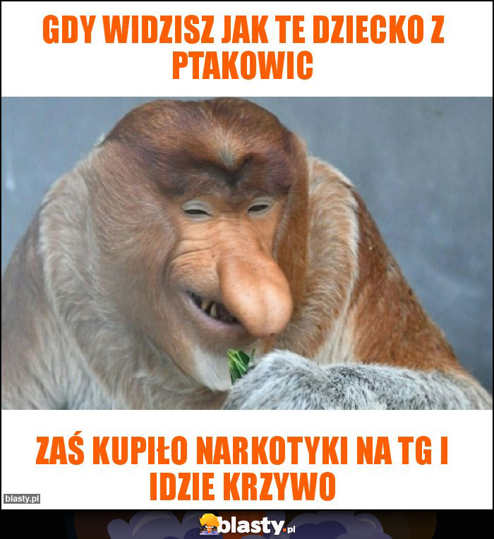 Gdy widzisz jak te dziecko z Ptakowic Gdy widzisz jak te dziecko z Ptakowic