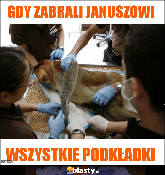 Gdy zabrali Januszowi Gdy zabrali Januszowi