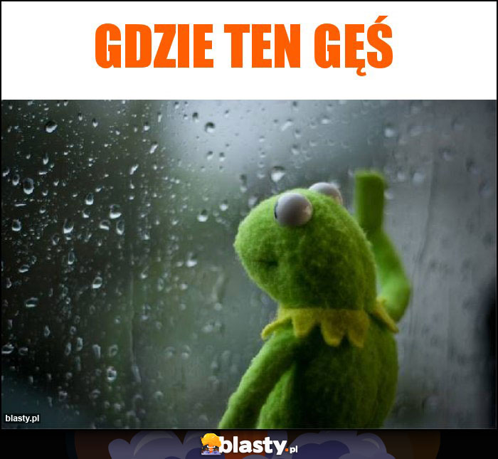 GDzie ten gęś GDzie ten gęś