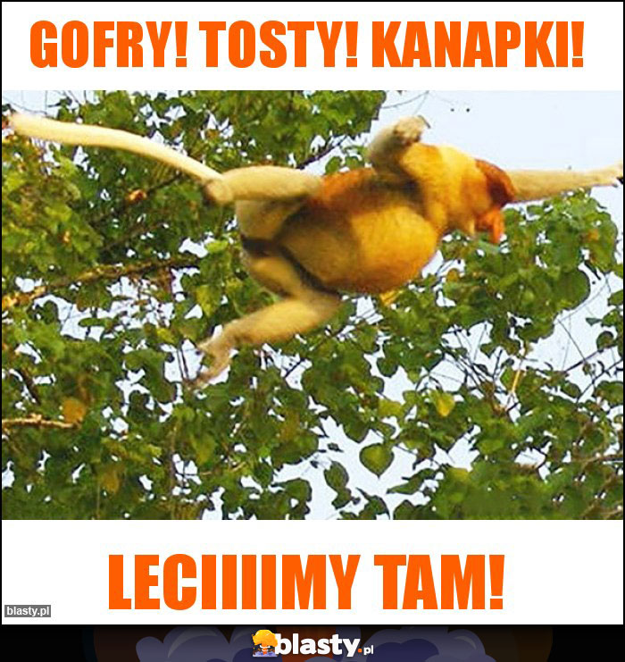 Gofry! Tosty! Kanapki! Gofry! Tosty! Kanapki!