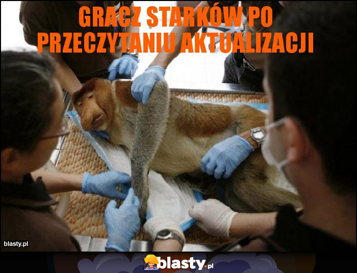 Gracz Starków po przeczytaniu aktualizacji Gracz Starków po przeczytaniu aktualizacji