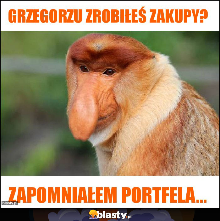 Grzegorzu zrobiłeś zakupy? Grzegorzu zrobiłeś zakupy?