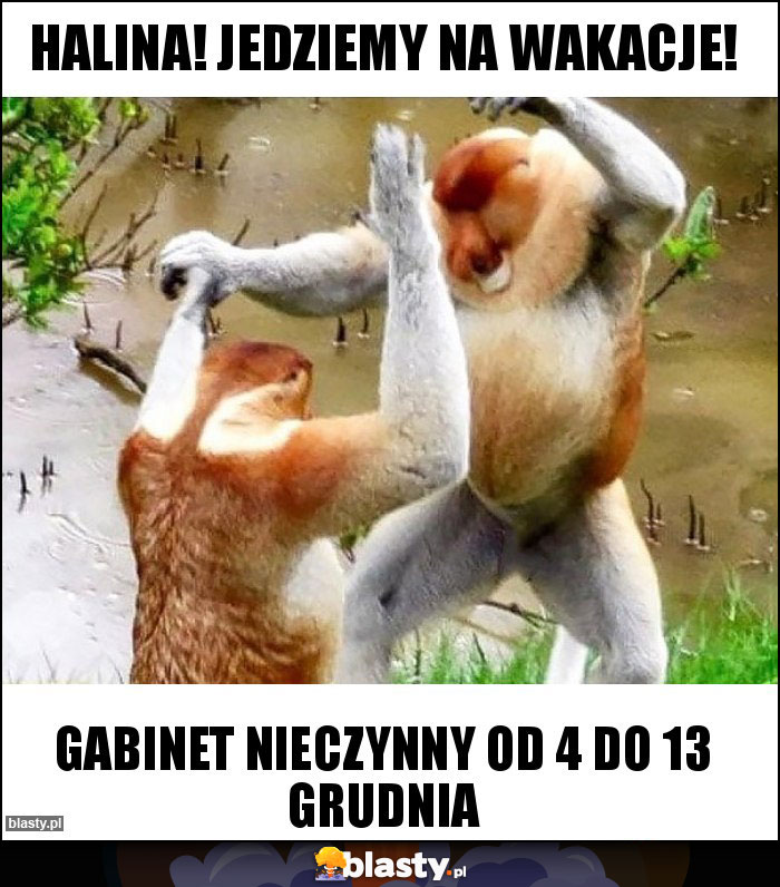 Halina! Jedziemy na wakacje! Halina! Jedziemy na wakacje!