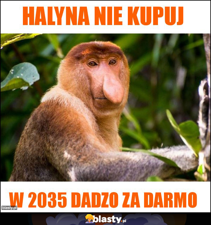Halyna nie kupuj Halyna nie kupuj