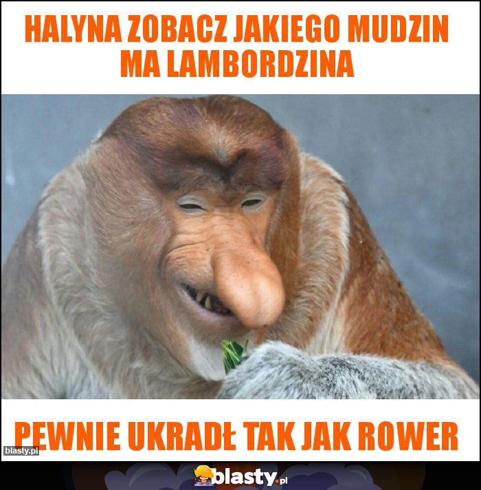 halyna zobacz jakiego mudzin ma lambordzina halyna zobacz jakiego mudzin ma lambordzina