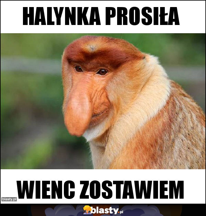 Halynka prosiła Halynka prosiła