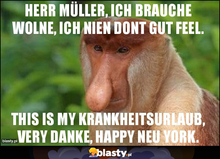 Herr müller, ich brauche wolne, ich nien dont gut feel. Herr müller, ich brauche wolne, ich nien dont gut feel.