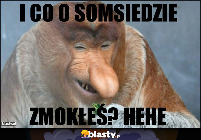 I co o somsiedzie I co o somsiedzie