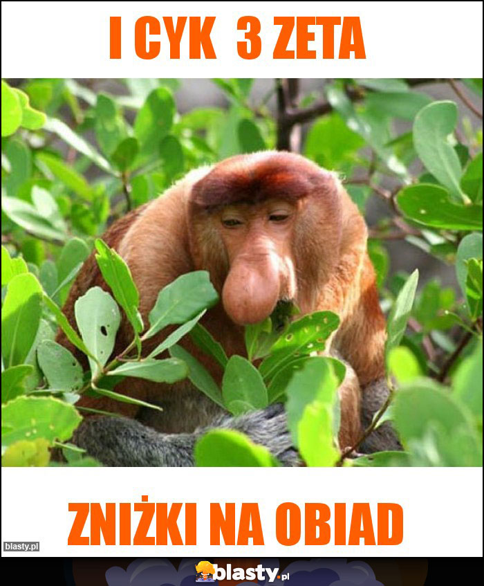 i cyk 3 zeta i cyk 3 zeta