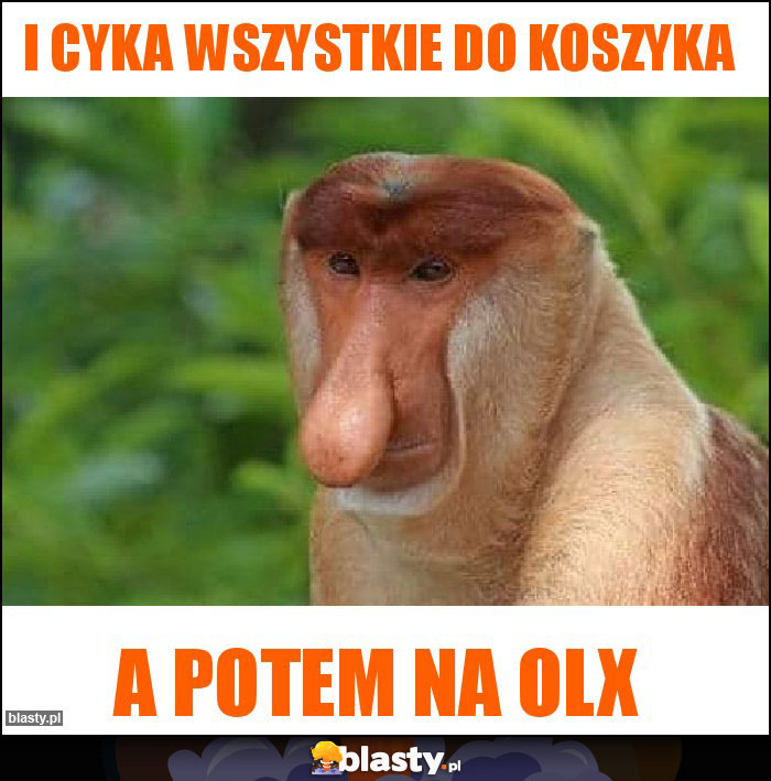 i cyka wszystkie do koszyka i cyka wszystkie do koszyka