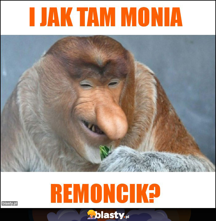 I jak tam Monia I jak tam Monia