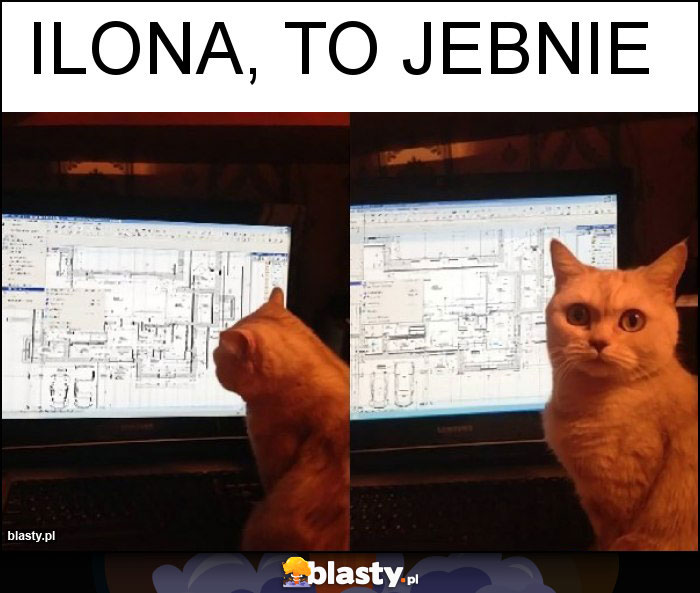 Ilona, to jebnie Ilona, to jebnie