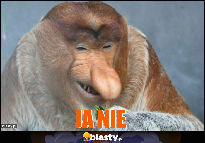 Ja nie