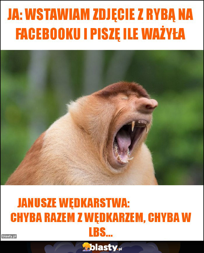 Ja: Wstawiam zdjęcie z rybą na facebooku i piszę ile ważyła Ja: Wstawiam zdjęcie z rybą na facebooku i piszę ile ważyła